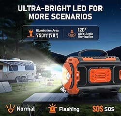 Tire Inflator Portable Air Compressor, 12V DC 110V