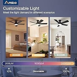 Amico Ceiling Fans with Lights, 42 Inch Low Profile