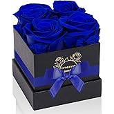 UFOREVER ROSES 4-Piece Preserved Roses in a Box, Preserved Flowers, Roses Gift for Her, Royal Blue
