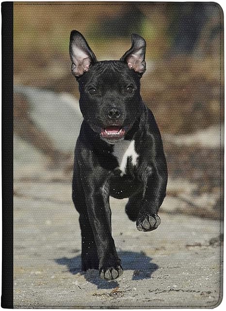 how fast can a staffordshire bull terrier run