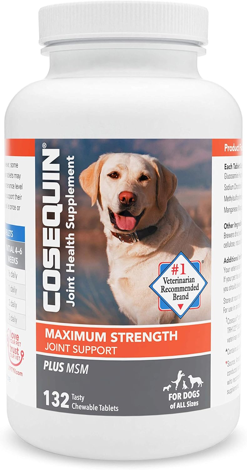 COSEQUIN w/MSM Chewable Tablets, 132 ct : Pet Bone And Joint Supplements : Pet Supplies