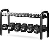2 Tier Dumbbell Rack, Weight Rack for Home Gym, 300 lb Capacity