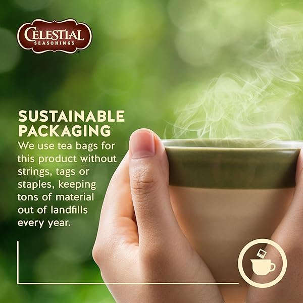 CELESTIAL SEASONINGS 100% NATURAL LEMON ZINGER HERBAL TEA 20 CT