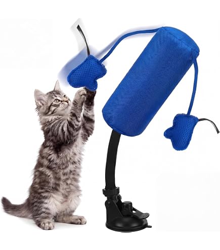 Kong Connects Punching Bag with Boxing Gloves Filled with Catnip : Pet Supplies