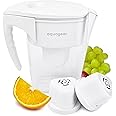 Aquagear 1 Year of Water Bundle – Water Filter Pitcher and Extra Replacement Filter – Lead, Chlorine, PFOA/PFOS, Microplastics Filter, 10 Cup, 120 Gallon Filter Life