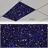 Patelai 4 x 2 Feet Fluorescent Light Cover for