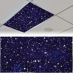 Patelai 4 x 2 Feet Fluorescent Light Cover for