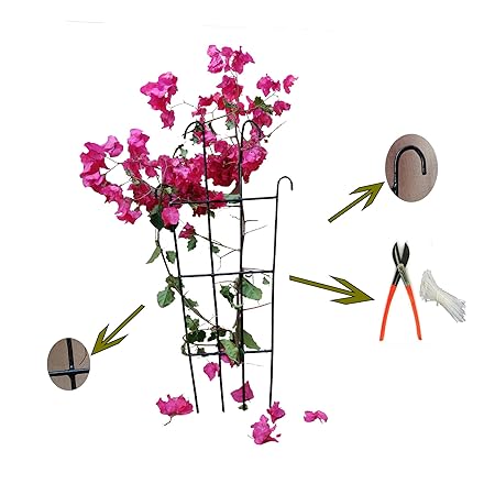 SAI PRASEEDA Rust Proof Metal Trellis_Painted Metal Frames_Garden Plant Trellis for Small Plants_Shrubs_Creeping Plants Support_30 X 66 cm_Pack of 3_Black_with A Cutter and 50 PVC Tags T2