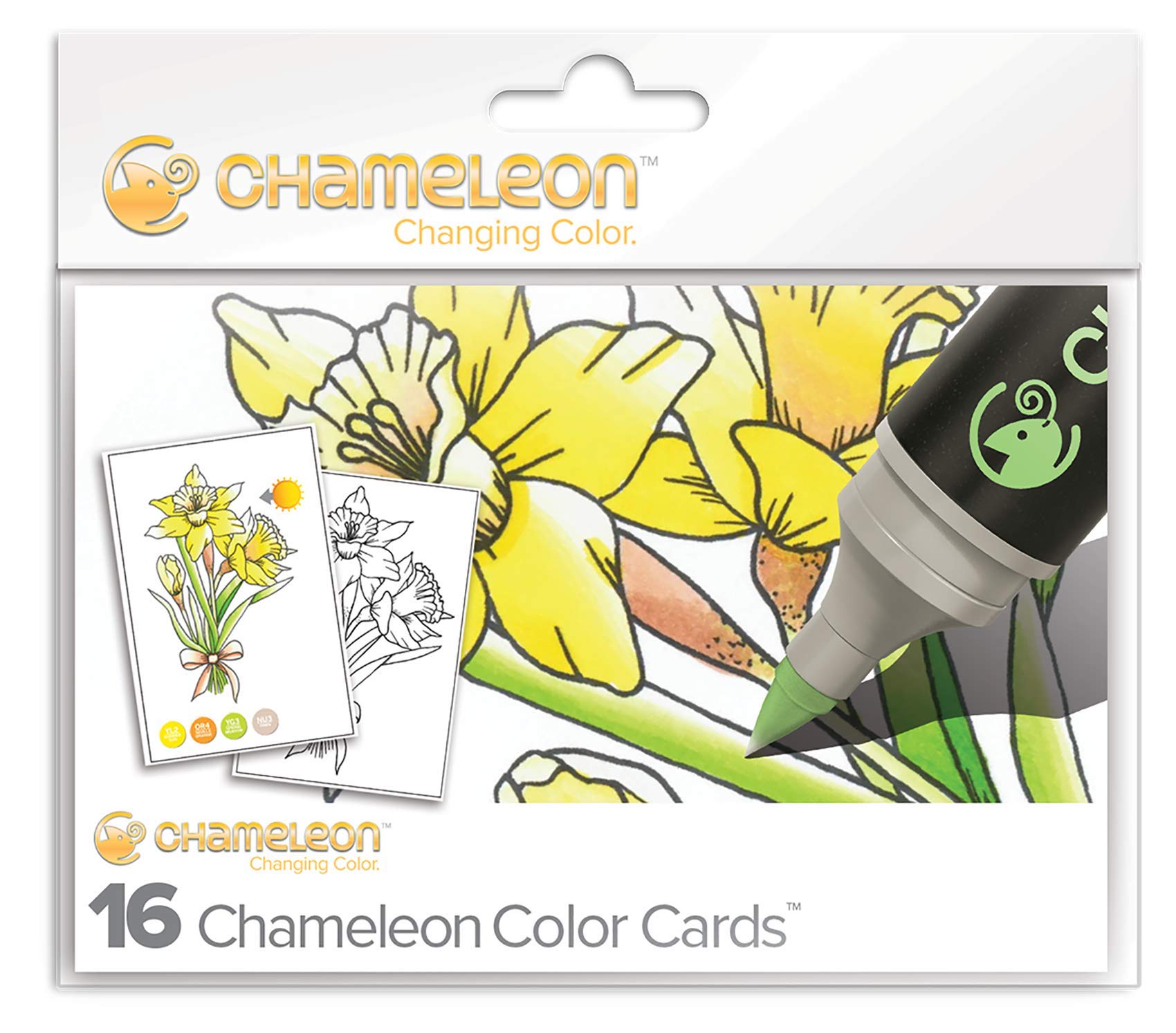 Chameleon, Color Cards, Art Supplies - Flowers