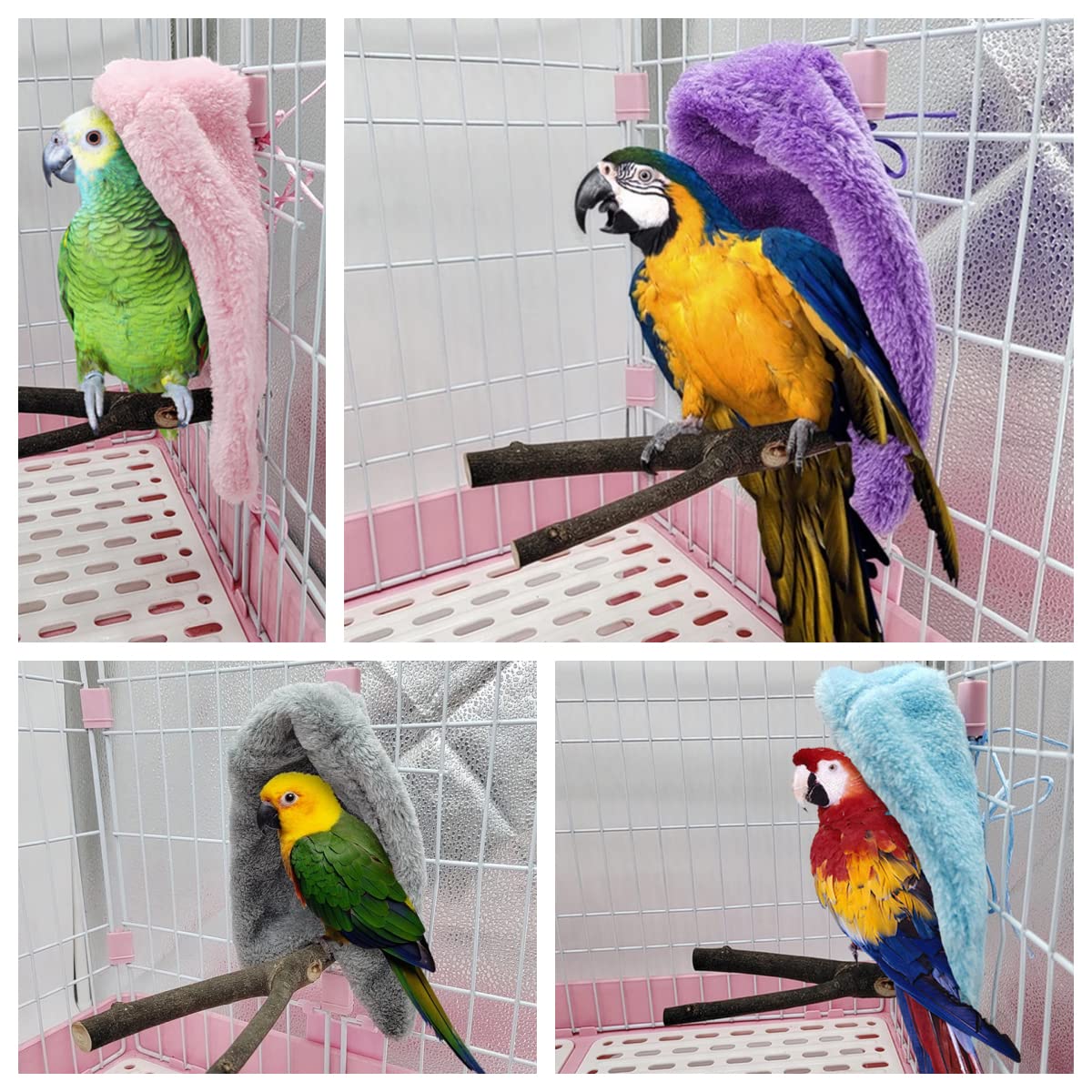 View 6