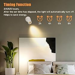 2 Pack LED Spot Lights Indoor, 3W Uplighting With