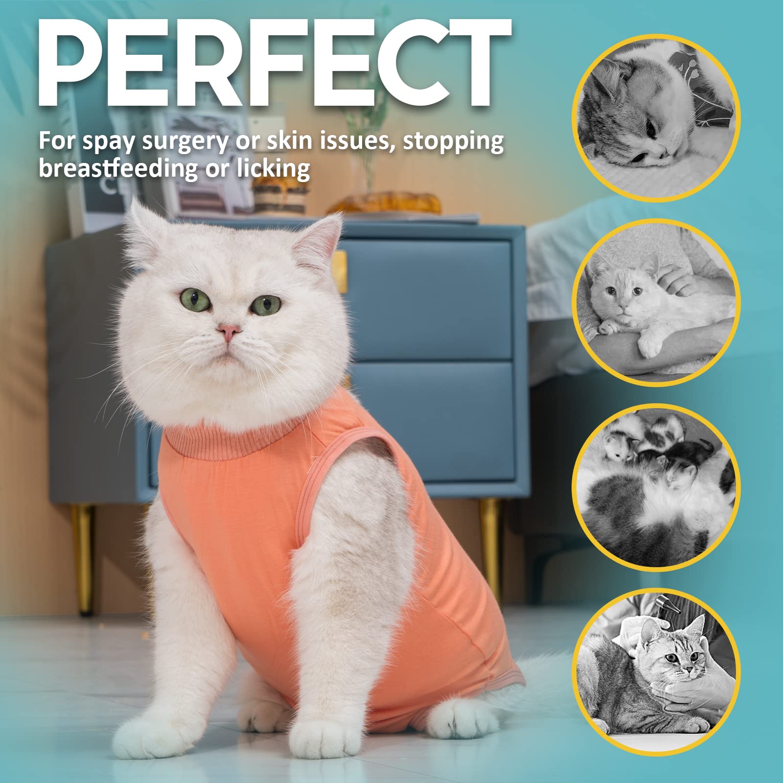 Avont Cat Recovery Suit Kitten Onesie For Cats After Surgery, Cone Of