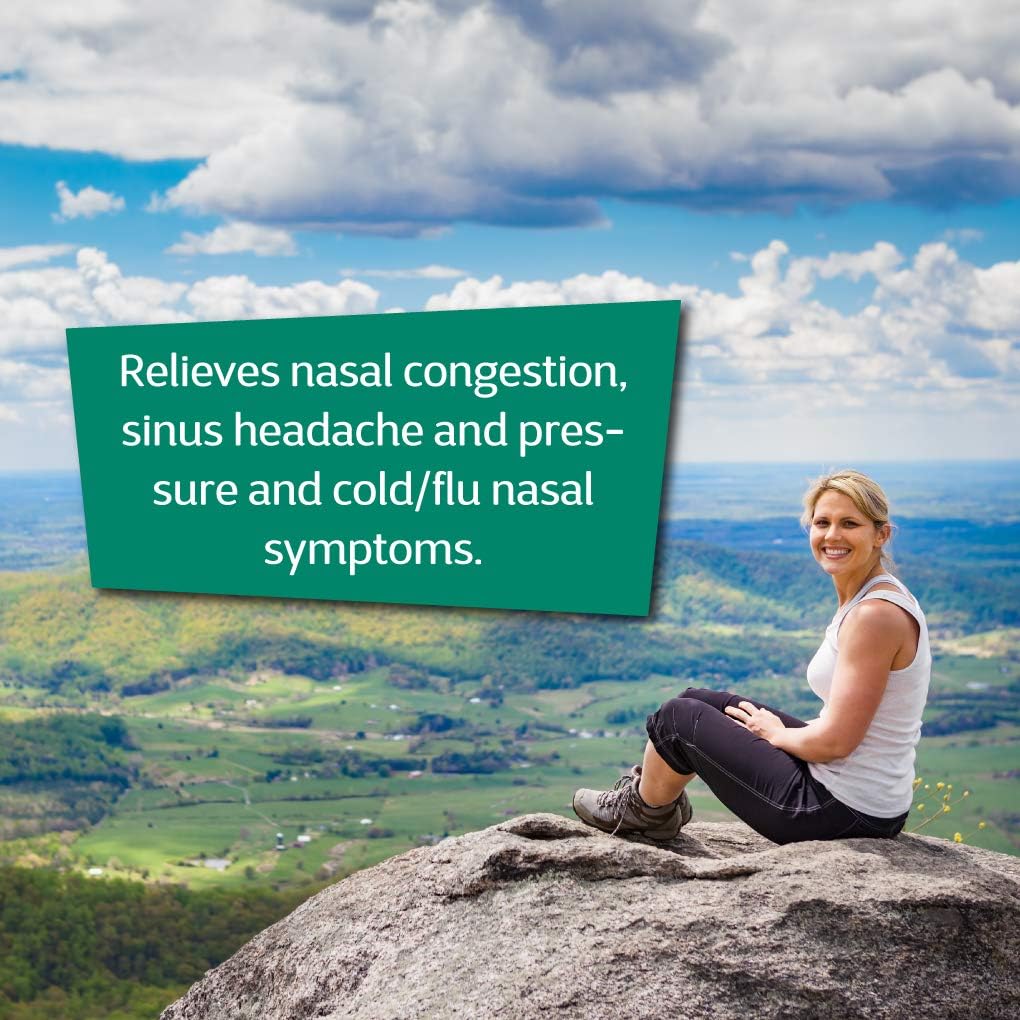 BHI Sinus Congestion Natural, Safe Homeopathic Relief - 100 Tablets: Health & Personal Care