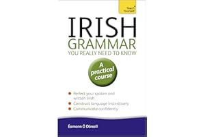 Irish Grammar You Really Need to Know