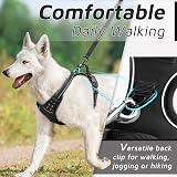 Eagloo Dog Harness Large No Pull Front Back Clips Reflective Adjustable XL view 4