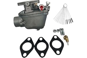 Dosens 533969M91 181644M1 Carburetor Compatible for Massey Ferguson MF Tractor TE20 TO20 TO30 517903M91 Massey Ferguson TO35 