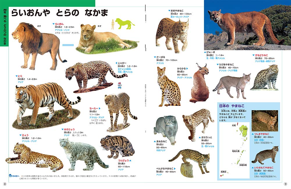 なぜ どうして はじめてのこども図鑑 どうぶつ 学研の図鑑 Live なぜ どうして はじめてのこども図鑑 小宮輝之 本 通販 Amazon なぜ どうして はじめてのこども図鑑 どうぶつ 学研の図鑑 Live なぜ どうして はじめてのこども図鑑 小宮輝之 本 通販 Amazon