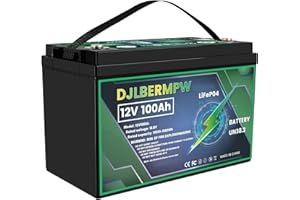 DJLBERMPW 12.8V 100Ah LiFePO4 Battery Built-in 100A BMS Lithium Battery 12V 1280Wh Lithium Batteries 10-Year Lifetime, Perfect for Trolling Motor,RV,Camping,Solar Home,Replacement Batteries