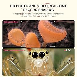 Ashfly Kids Magnifying Glass Educational Science