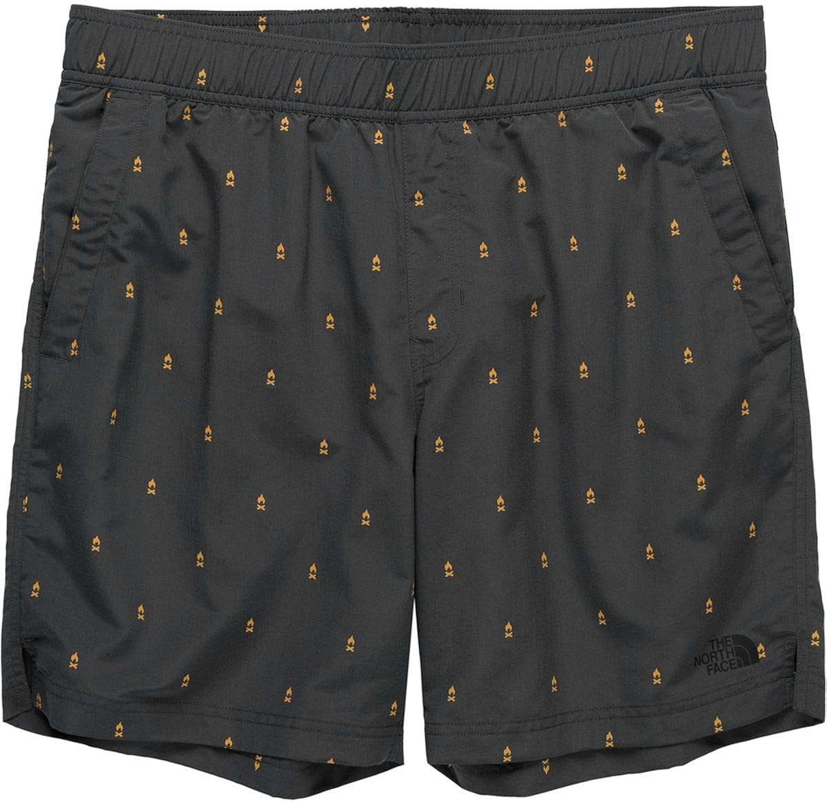 north face asphalt grey pants