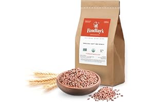 Soft Red Wheat Berries Organically Grown in Michigan, Farmer Direct, USDA Organic Certified, Non-GMO, 10 Lbs Total // Findlay's Organics