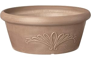 Arcadia PSW Pot TA25TP Collection Shallow Bulb Pan Planter Dish Low Bowl for Succulents, Bonsai, Fairy Gardens, Herbs, 10-inch, Taupe
