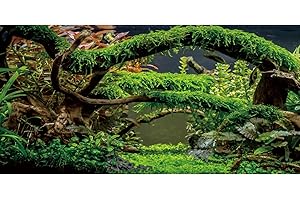 AWERT 48x24 inches Aquarium Background Branches Terrarium Background Aquatic Plant River Bed & Lake Fish Tank Background Vinyl Background