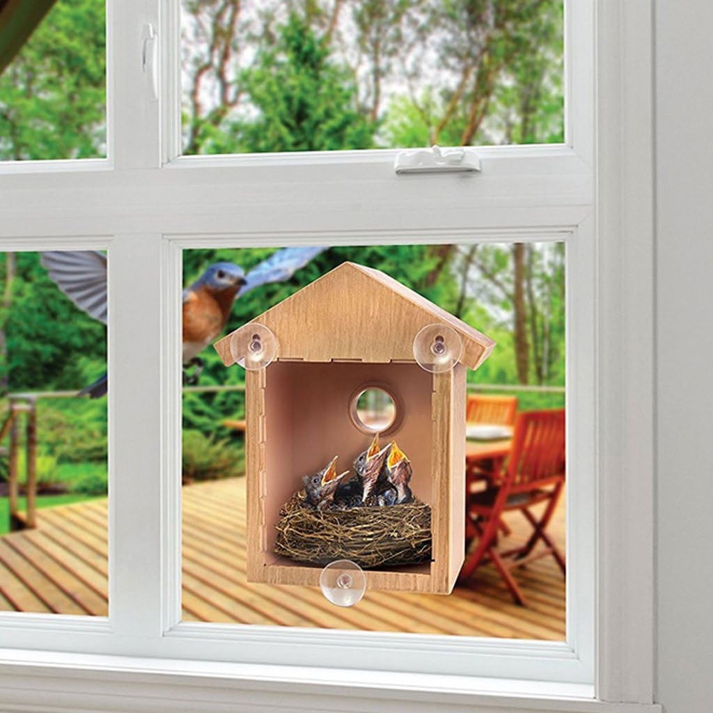 Autone Diy Wooden Window Bird Feeder House With Suckers Outdoor