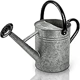 Cesun Metal Watering Can 1 Gallon for Outdoors Gardening, Galvanized Steel Watering Pot with Removable Spray Spout, Movable U