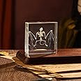 Real Bat Skeleton Specimen in Resin for Science Classroom Science Education Great Gift for Fans of Taxidermy, Animal Skull, Biology, Oddities