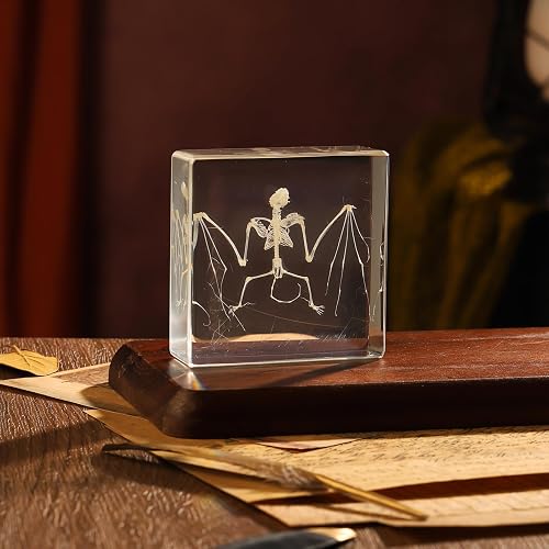 Specimens Classroom Science Classroom Display Bat Specimen In Resin - Biological Education ...