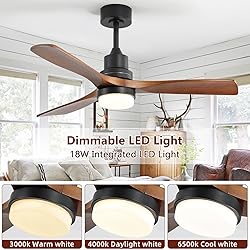 CACI Mall 52 inch Ceiling Fan with Lights Remote