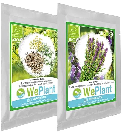 BIO Gewürzfenchel & Ysop Pflanzen-Samen Set - indoor/outdoor
