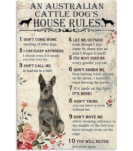 Plaque Métal Vintage Bulldog Knowledge - 20x30cm - Poster Éducatif Races Bouledogue - Déco Murale Chien
