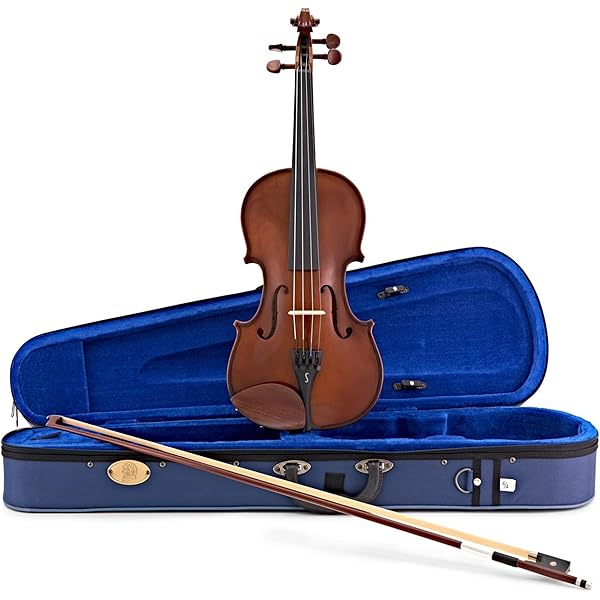 Amazon.com: Stentor Violin, Brown, 1/16 (1018I) : Musical Instruments