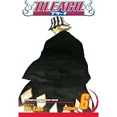 Bleach, Vol. 6
