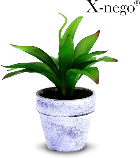 Amazon 人工多肉植物 ホームオフィス卓上用の灰色の模造石の鉢を持つ偽のジューシーな鉢植えの偽物の植物 人工観葉植物 オンライン通販