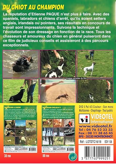 Amazoncom Lot 2 Dvd Chiens De Chasse Movies Tv