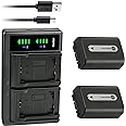 Kastar 2-Pack NP-FH50 Battery and LTD2 USB Charger Replacement for Sony DCR-SR36, DCR-SR37, DCR-SR38, DCR-SR40, DCR-SR42, DCR-SR45, DCR-SR46, DCR-SR47, DCR-SR48, DCR-SR50, DCR-SR52, DCR-SR55