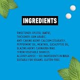 Peppersmith Extra Strong Mints Sugar Free Xylitol 12x15g Natural Eucalyptus view 3