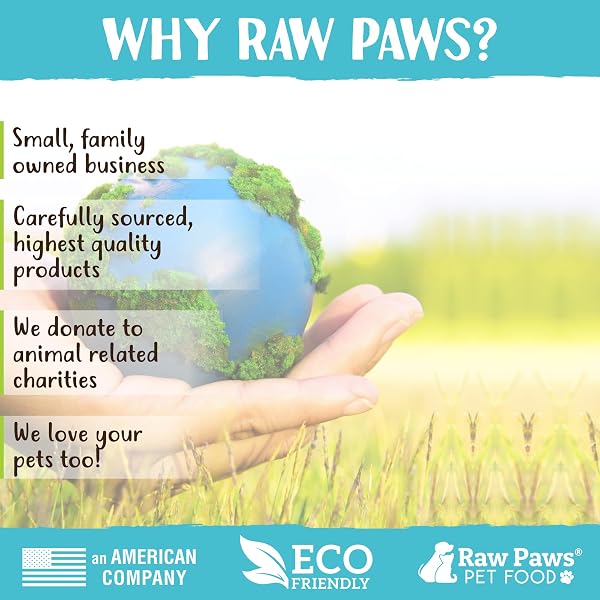 RAW PAWS ORGANIC KELP POWDER FOR DOGS & CATS (16-OUNCE) – SUPPORTS THYROID, DIGESTIVE & IMMUNE HEALTH – DRIED SEA KELP FOR DOGS – SEAWEED POWDER SUPPLEMENT