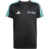 ★adidas★MERCEDES-AMG PETORONAS F1 TEAM GRAPHIC TEE★追跡可 Mercedes_-