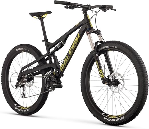 raleigh aluminum mountain bike