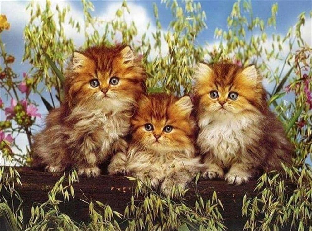 5D DIY Full Square Diamond Happiness Three Cats Embroidery Cross Stitch Rhinestone Mosaic Painting