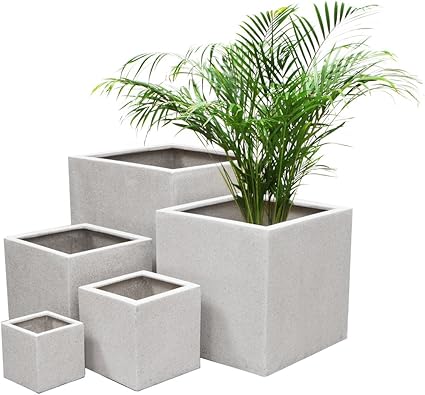 Primrose Maceta Cuadrada Blanca de Politerrazo – Mediana: Amazon.es: Hogar