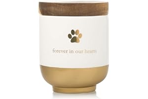 Pearhead Pet Ceramic Forever in Our Hearts Urn, Pet Memorial, Dog Or Cat Keepsake Urn, Rainbow Bridge, Gold