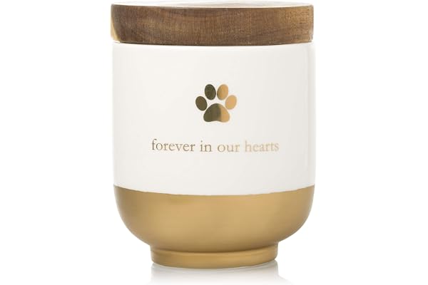 Pearhead Pet Ceramic Forever in Our Hearts Urn, Pet Memorial, Dog Or Cat Keepsake Urn, Rainbow Bridge, Gold