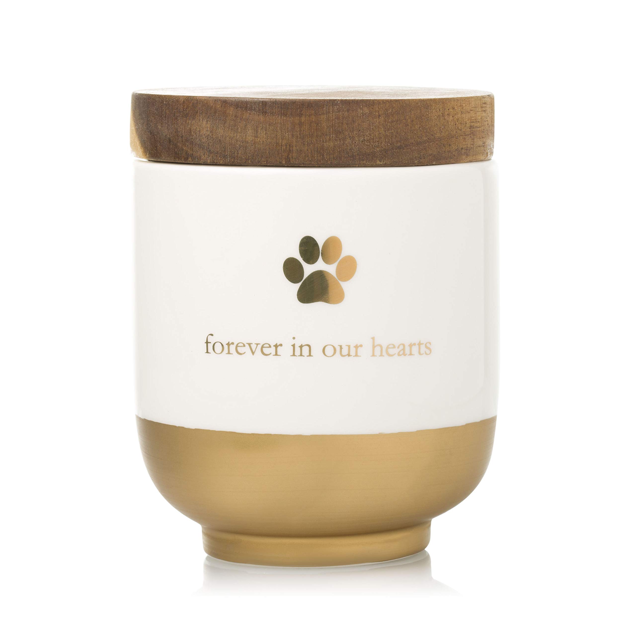 Pearhead Pet Ceramic Forever in Our Hearts Urn, Pet Memorial, Gold Pet Urn, Memorial For Dog or Cat
