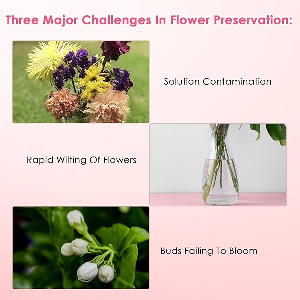 500ML FLOWER FRESHENER- INDOOR AND OUTDOOR ALL PURPOSE BLOOM PLANT FOOD – SUITABLE FOR ALL TYPES OF FLOWERS AND PLANTS ROSES, LILIES, BELLFLOWERS, DAISIES ETC, USE IN GARDENS & HYDROPONIC SYSTEMS
