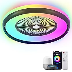 KAMLAM 24" Low Profile Ceiling Fans with